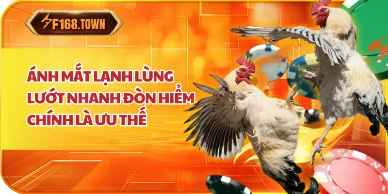 Ánh mắt lạnh lùng lướt nhanh đòn hiểm chính là ưu thế