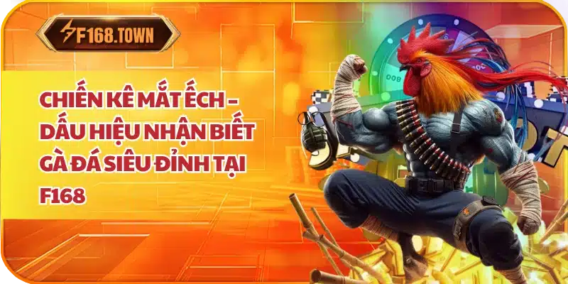 Chiến Kê Mắt Ếch – Dấu Hiệu Nhận Biết Gà Đá Siêu Đỉnh