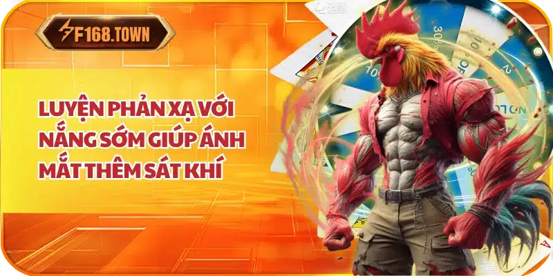 Luyện phản xạ với nắng sớm giúp ánh mắt thêm sát khí