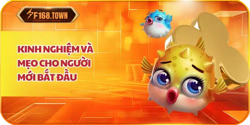 Kinh nghiệm và mẹo cho người mới bắt đầu