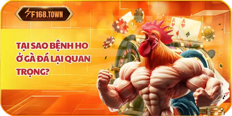 Tại Sao Bệnh Ho Ở Gà Đá Lại Quan Trọng?